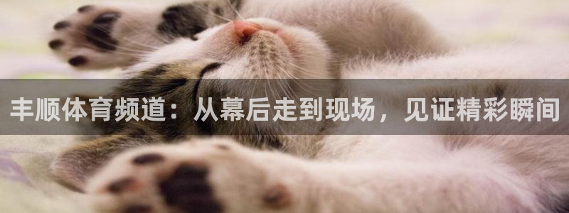 888看球直播