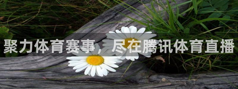 nba直播吧88看球