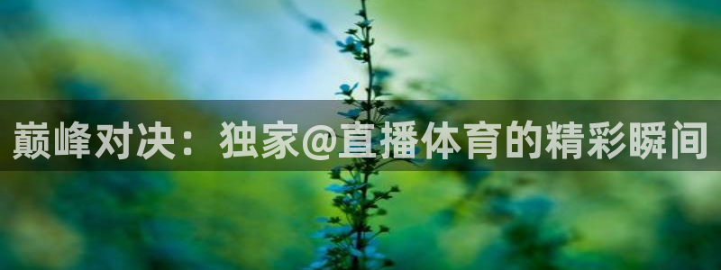 88看球nba直播吧