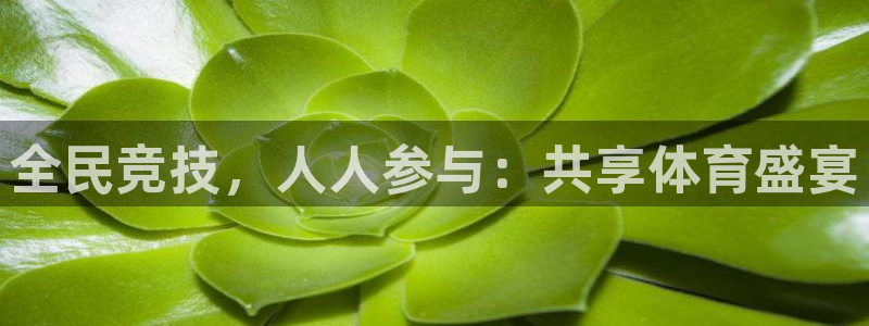 888看球