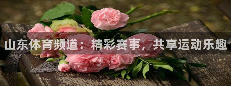 88看球nba直播官网