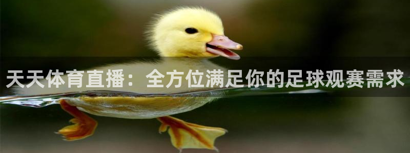 88看球直播平台下载