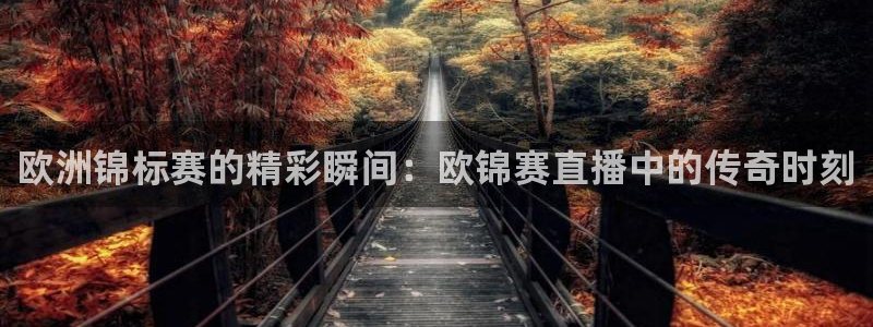 888看球