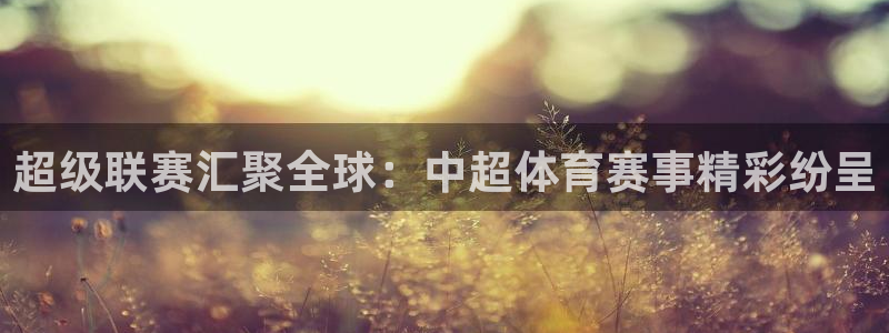 88看球app下载