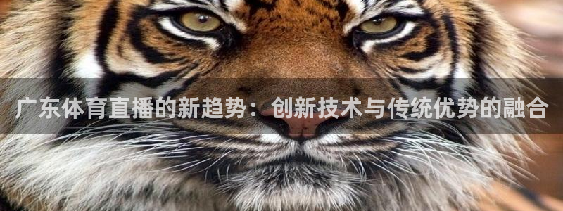 88看球