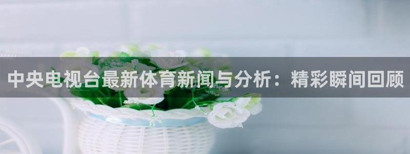 88看球足球直播入口