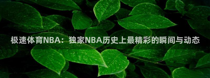 nba 88看球