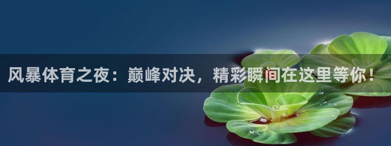 88看球nba直播官网