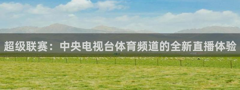 88看球足球直播入口