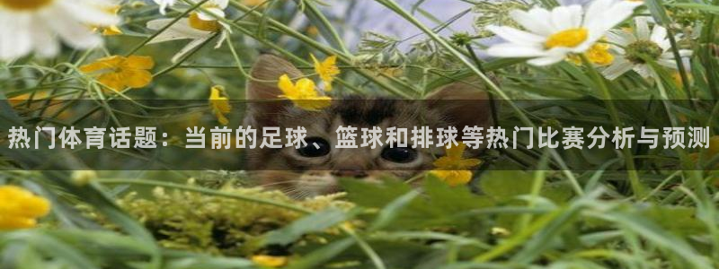 888看球nba直播免费